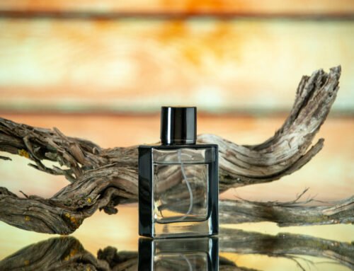 Los mejores robots de cocina para tu hogar en 2024